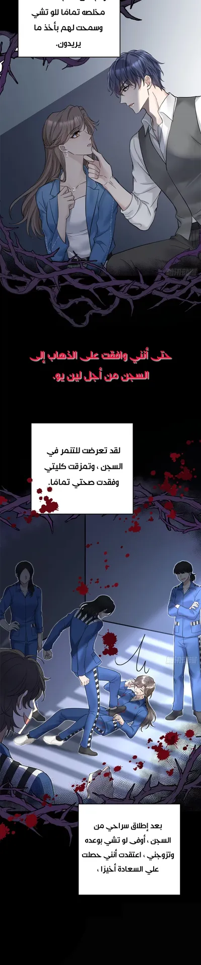 الصفحة 24
