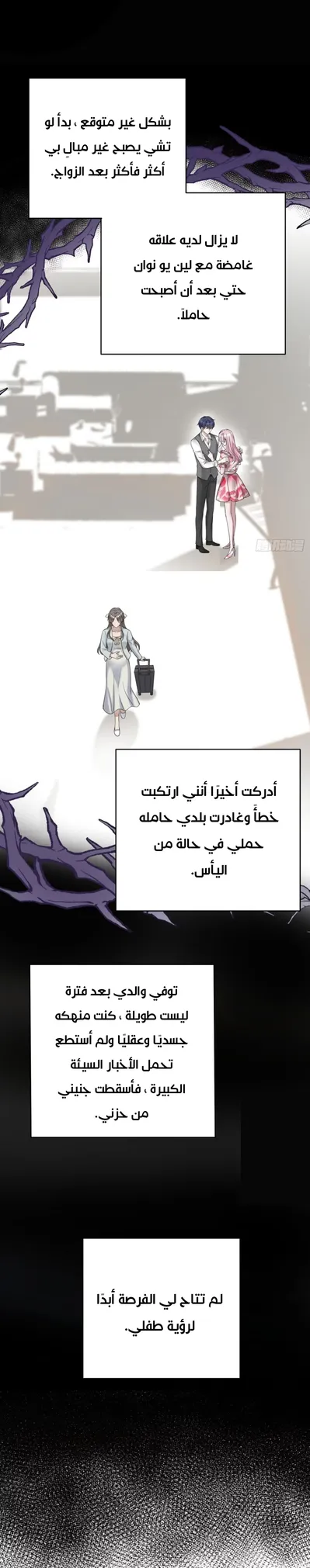 الصفحة 25