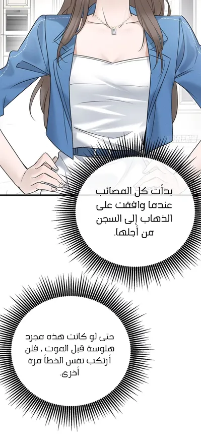 الصفحة 27