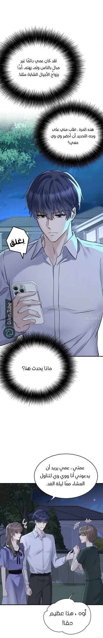 الصفحة 12