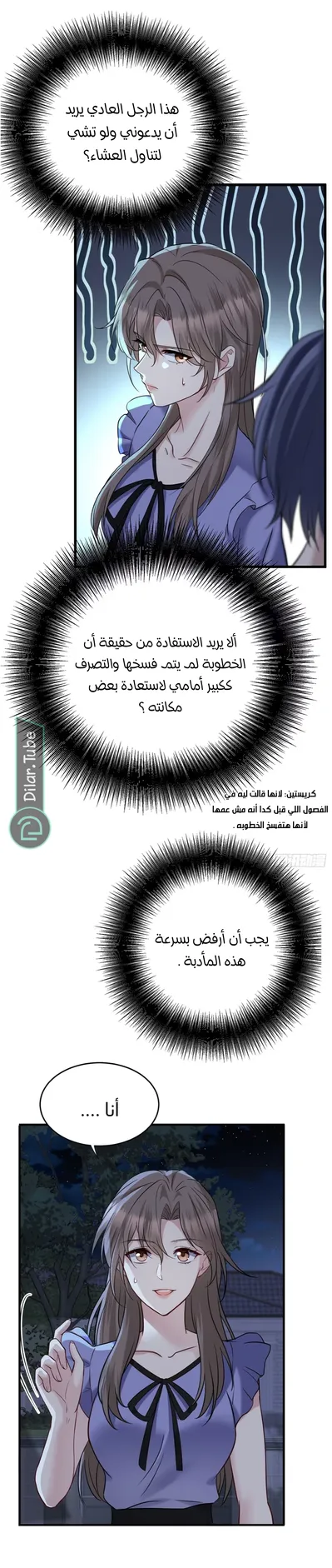 الصفحة 13
