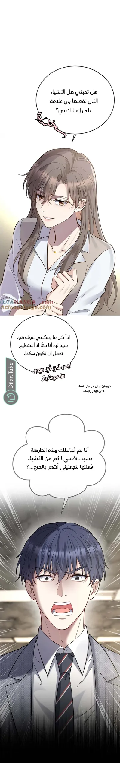 الصفحة 3