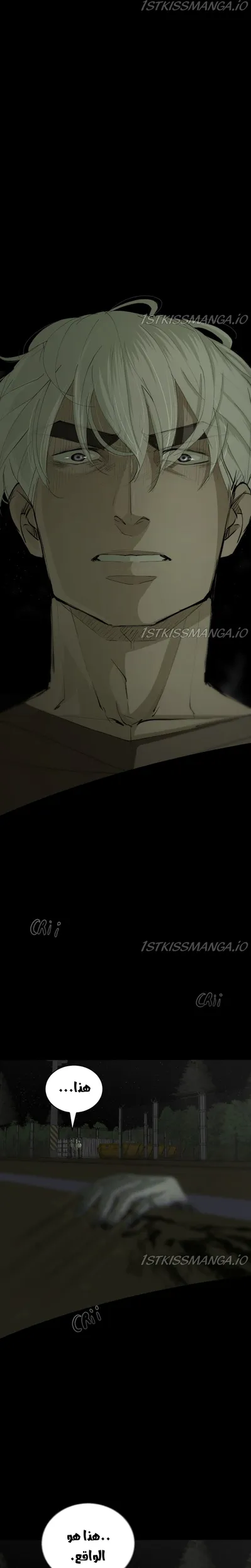 الصفحة 19