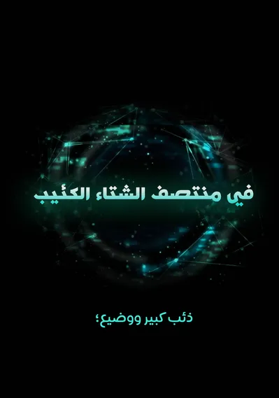 الصفحة 11