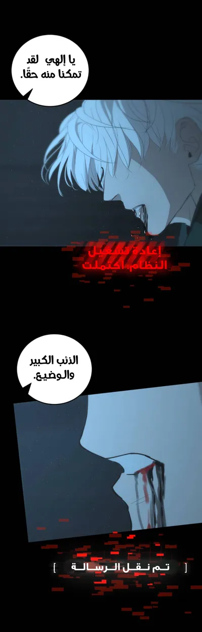 الصفحة 31