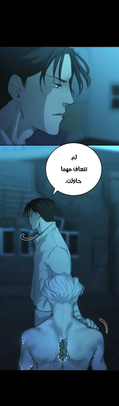 الصفحة 17