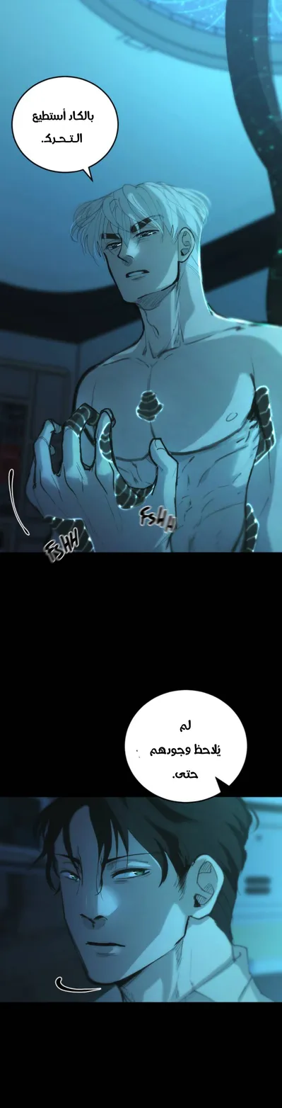 الصفحة 19