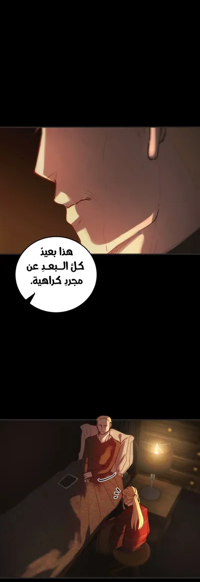 الصفحة 17