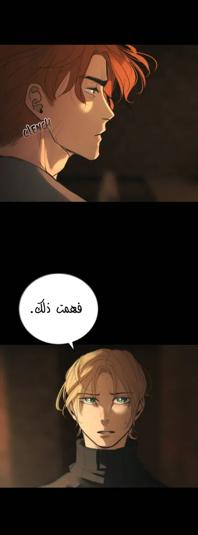 الصفحة 37
