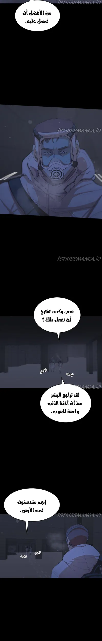 الصفحة 17
