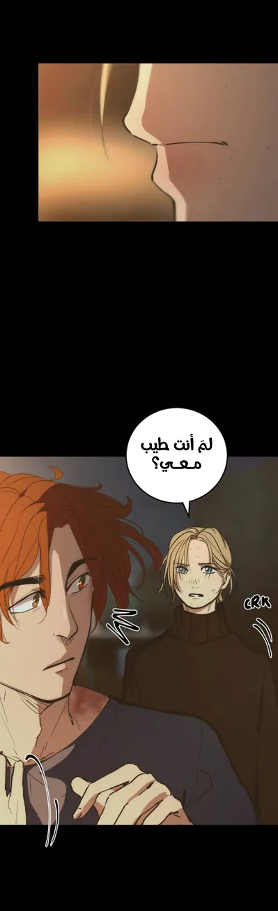 الصفحة 20
