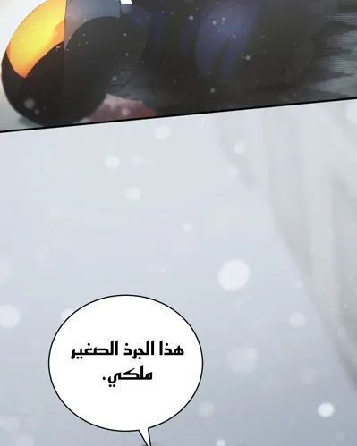 الصفحة 34