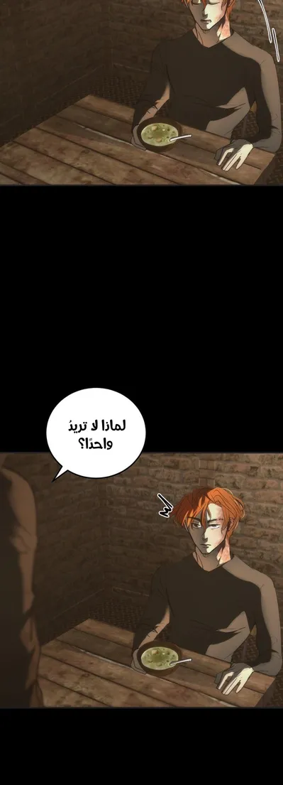 الصفحة 29