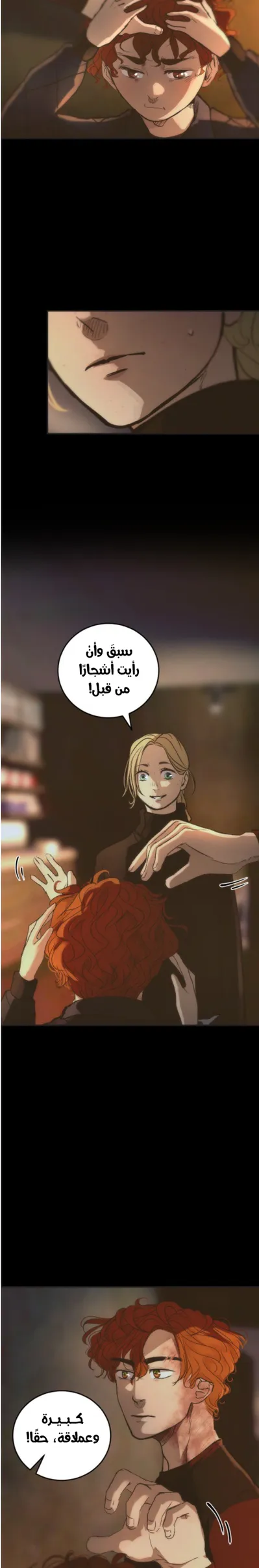 الصفحة 13