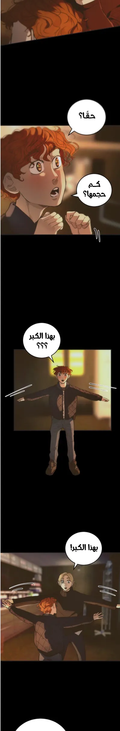 الصفحة 14