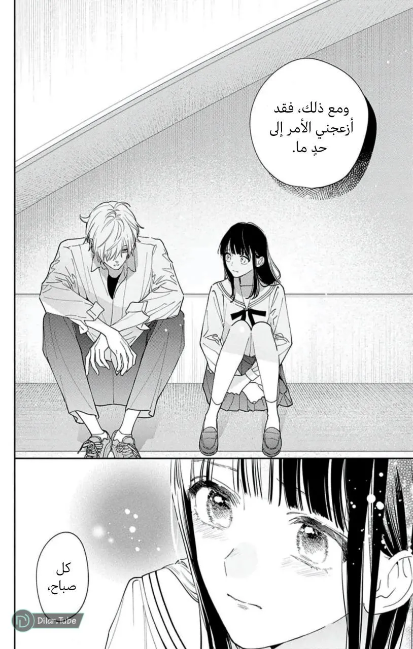 الصفحة 14