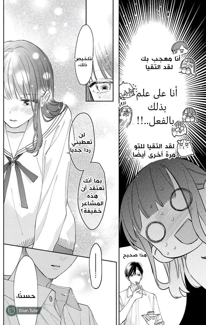 الصفحة 12
