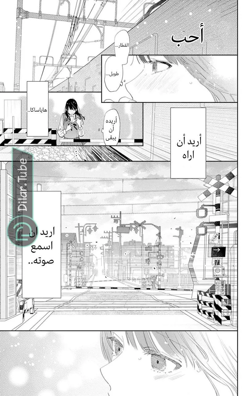 الصفحة 10