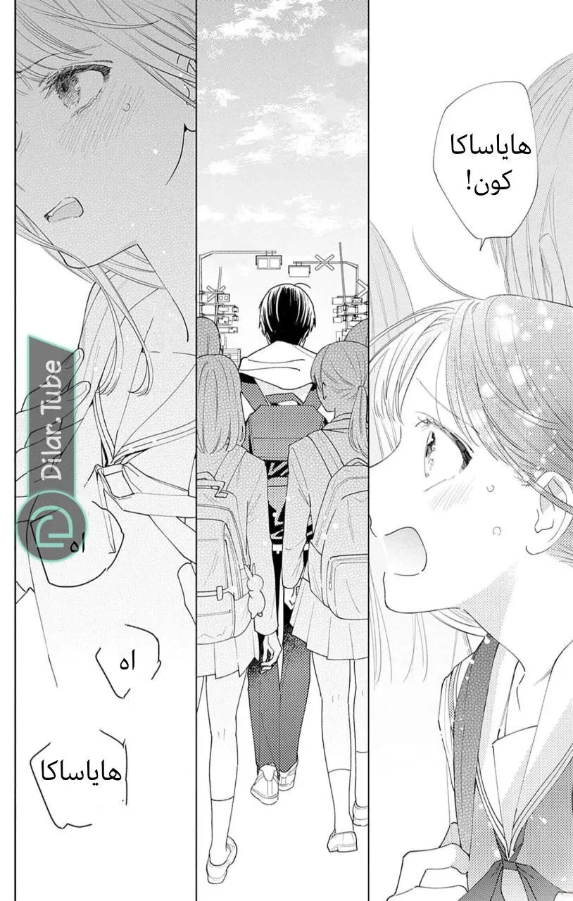 الصفحة 7