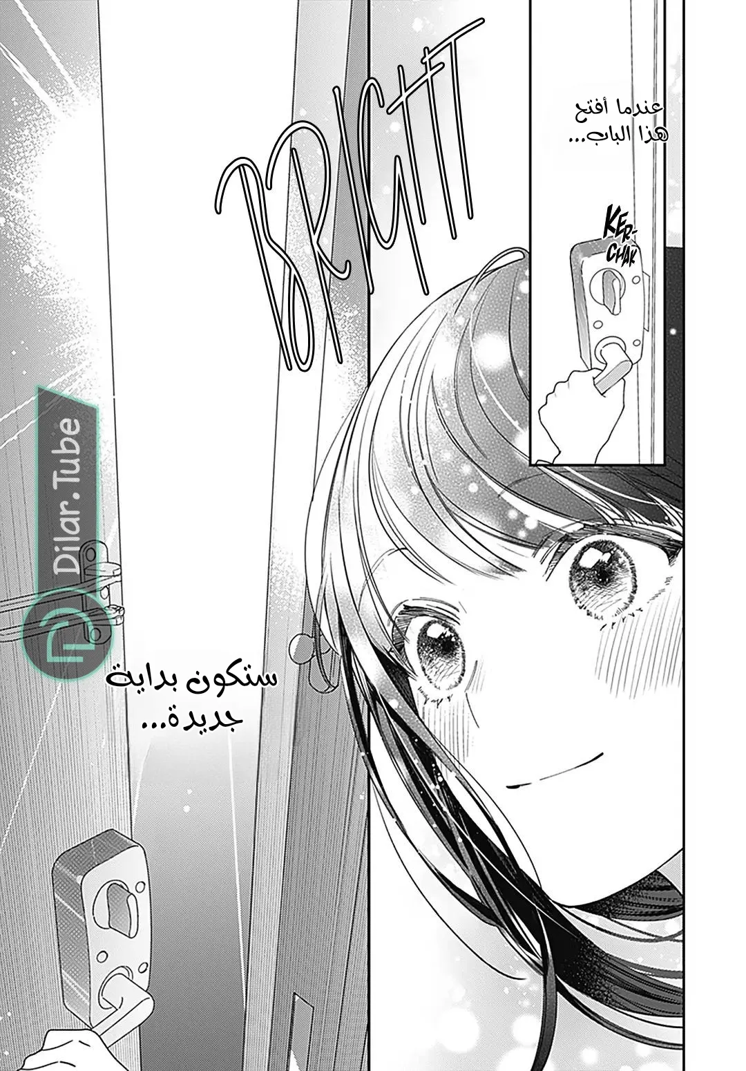 الصفحة 12