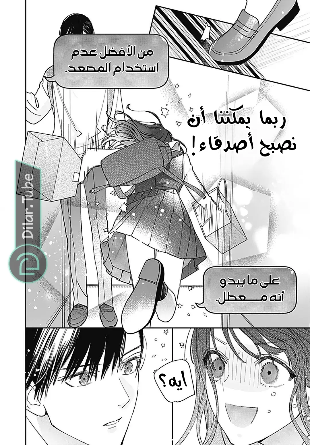 الصفحة 20