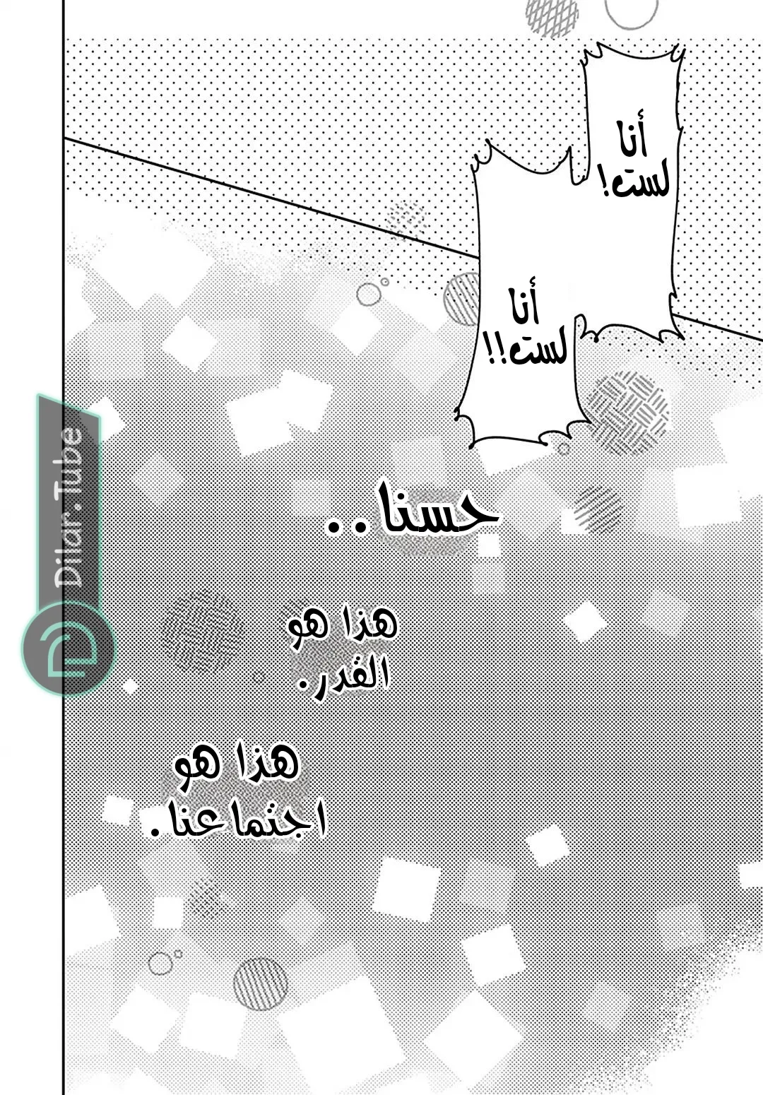 الصفحة 24