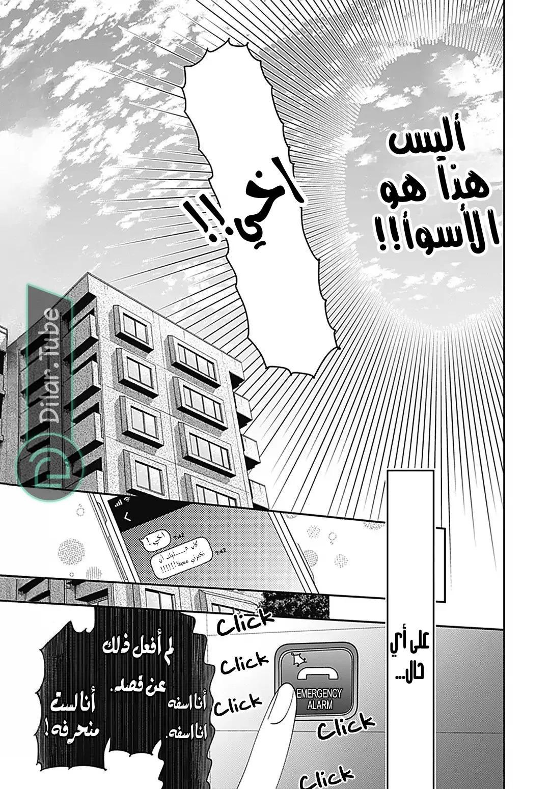 الصفحة 25