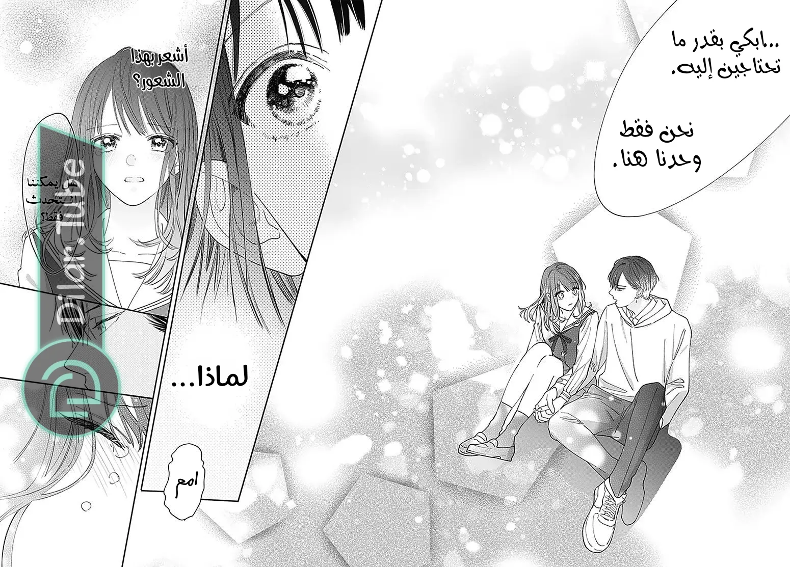 الصفحة 46