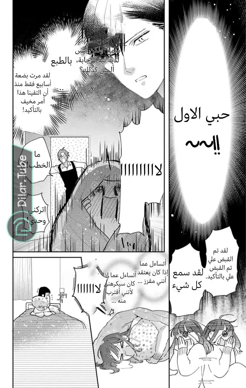 الصفحة 17