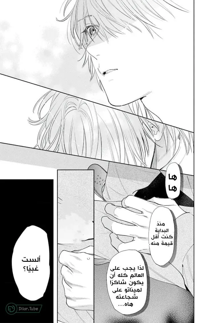 الصفحة 24