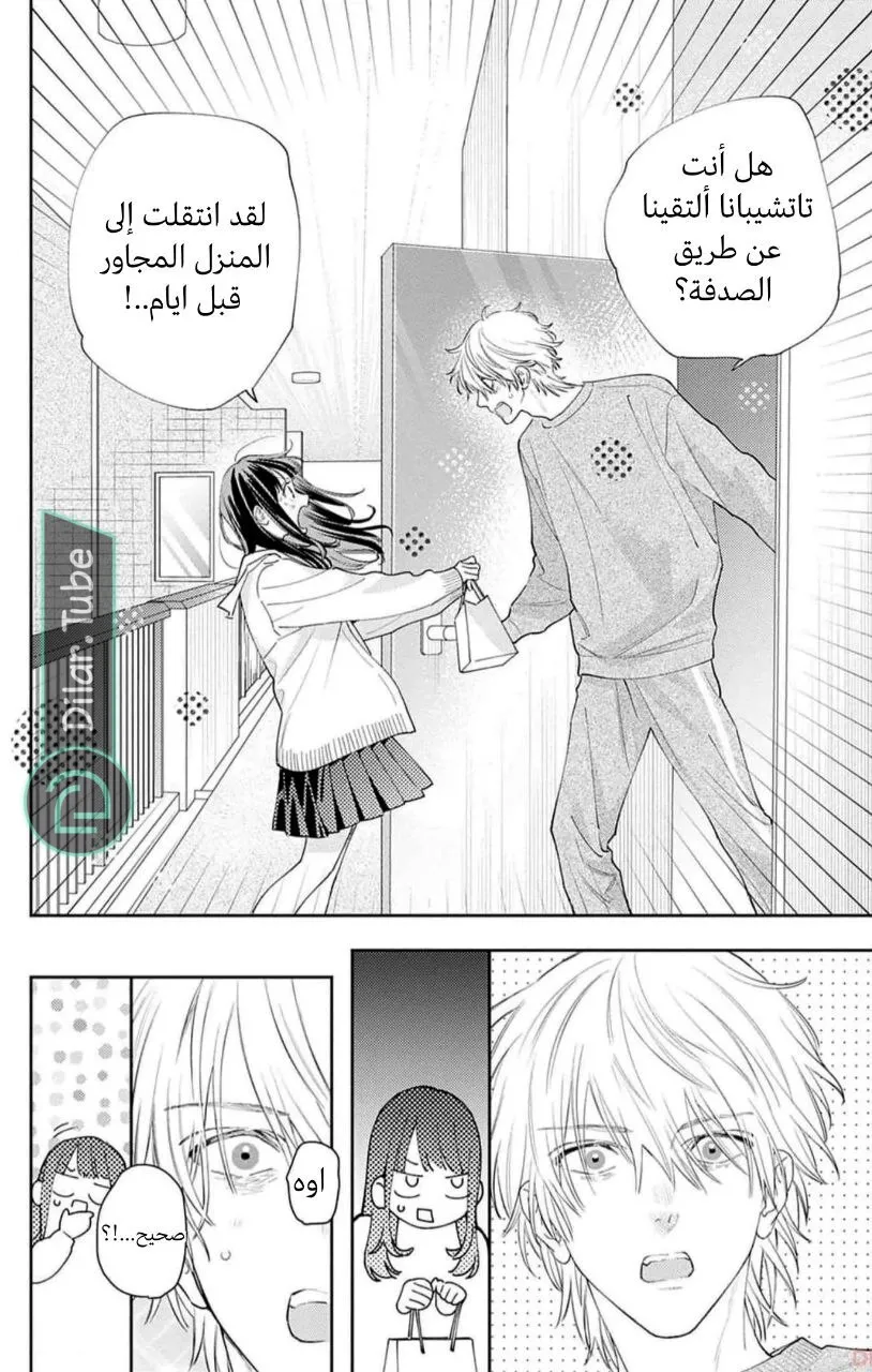 الصفحة 17