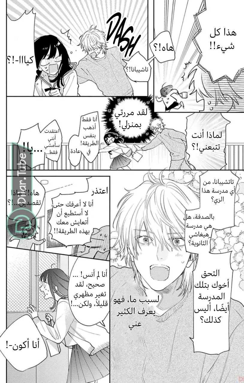 الصفحة 19