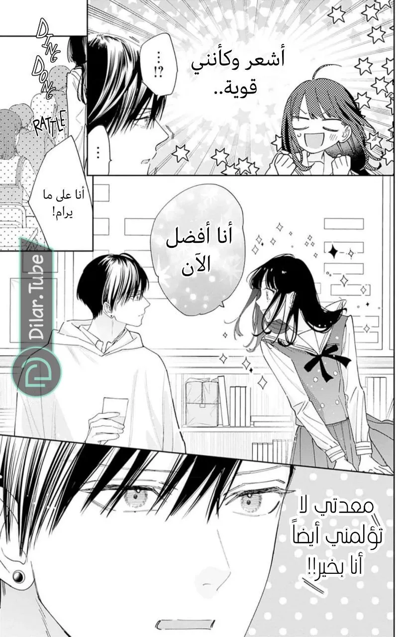 الصفحة 13