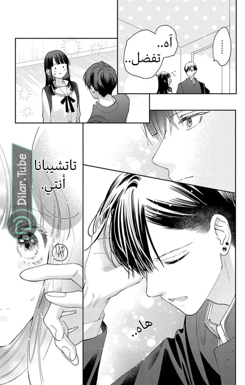 الصفحة 20