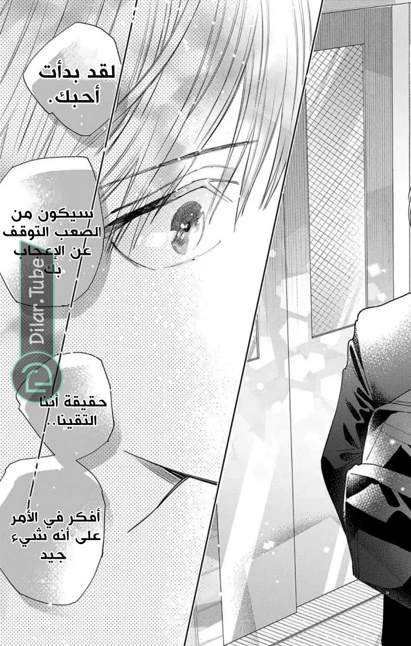 الصفحة 26