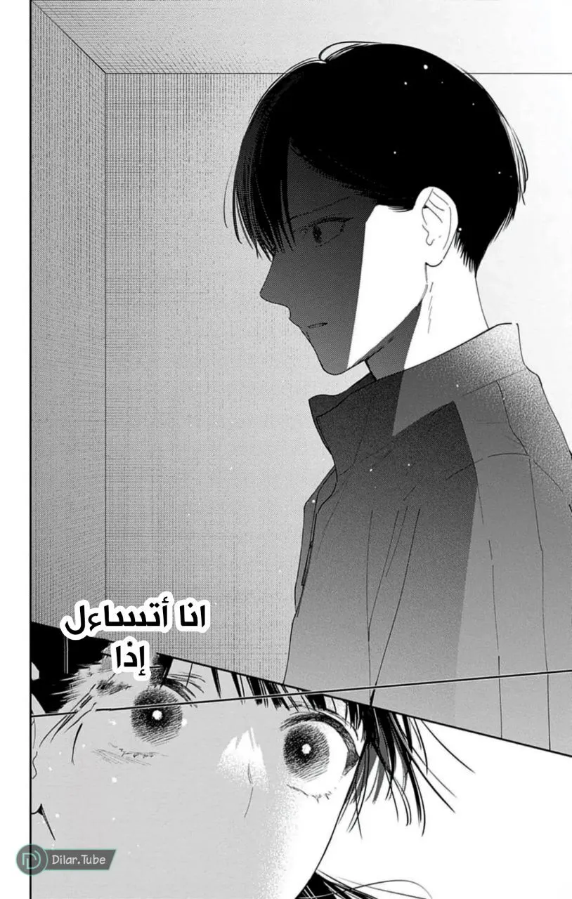 الصفحة 13