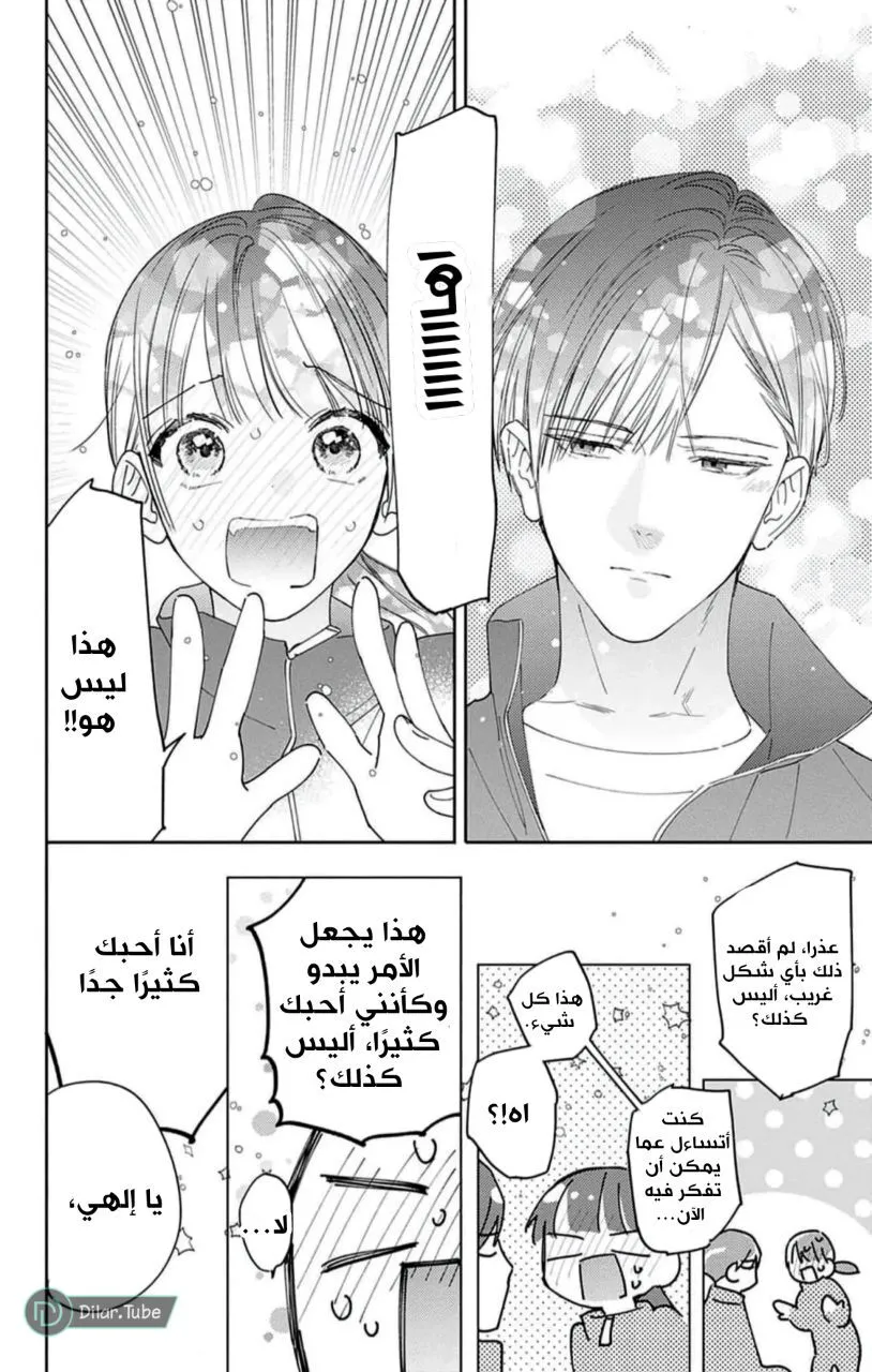 الصفحة 19