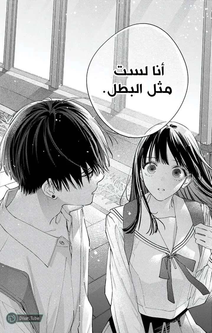 الصفحة 17