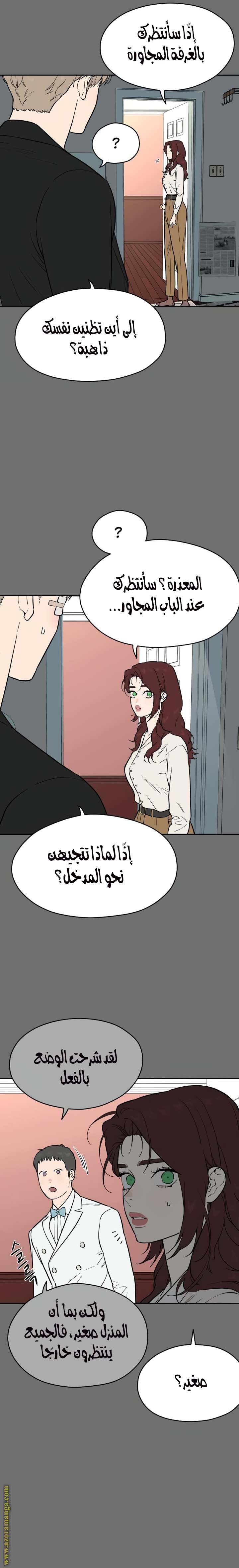 الصفحة 17