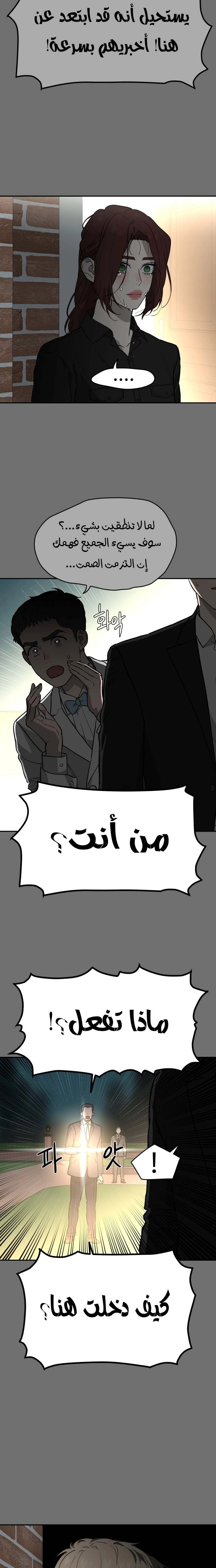 الصفحة 13