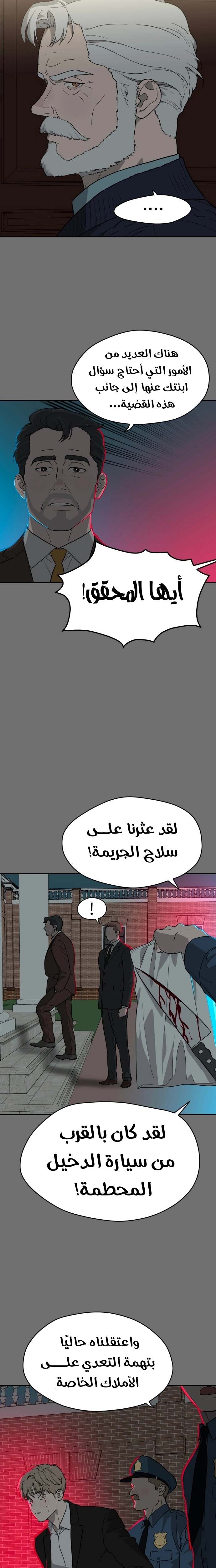 الصفحة 17