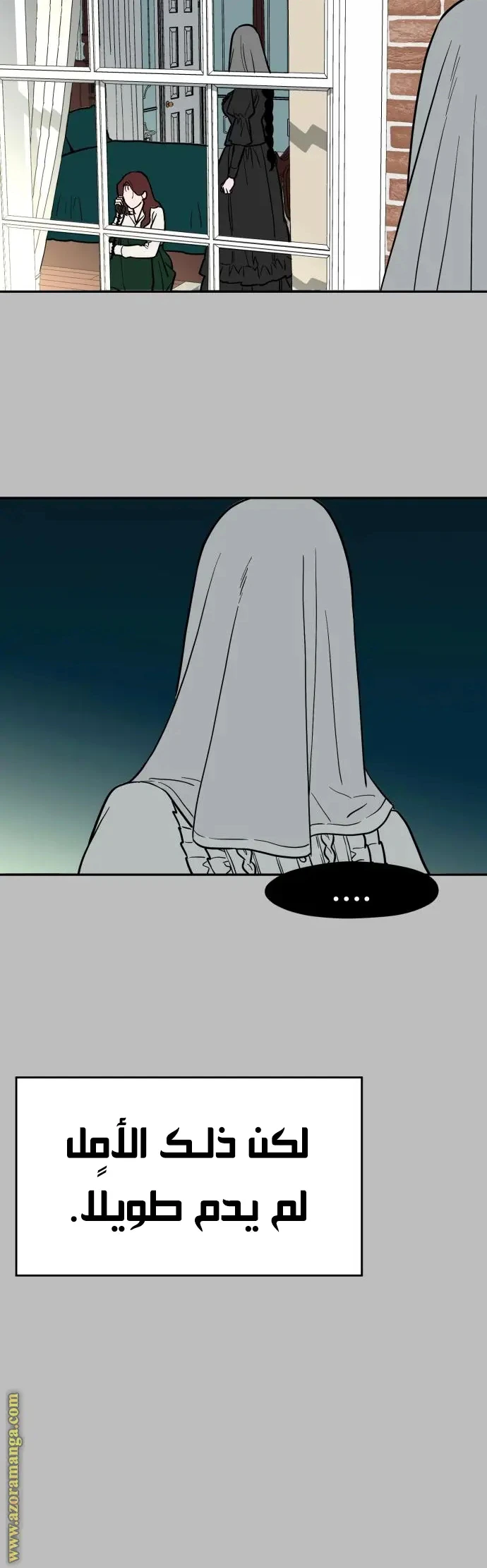 الصفحة 25