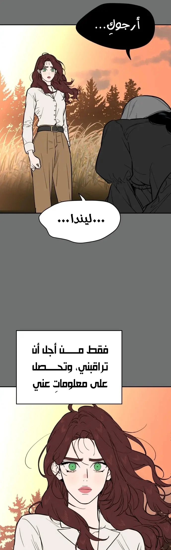 الصفحة 37
