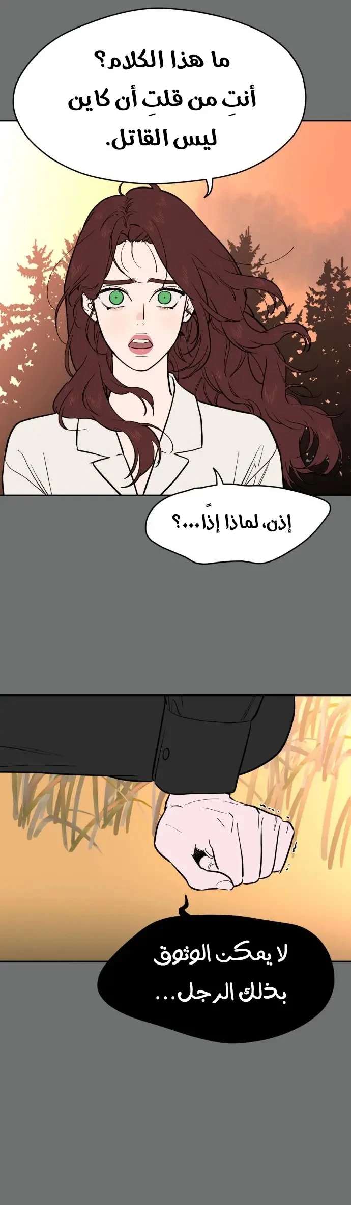 الصفحة 40