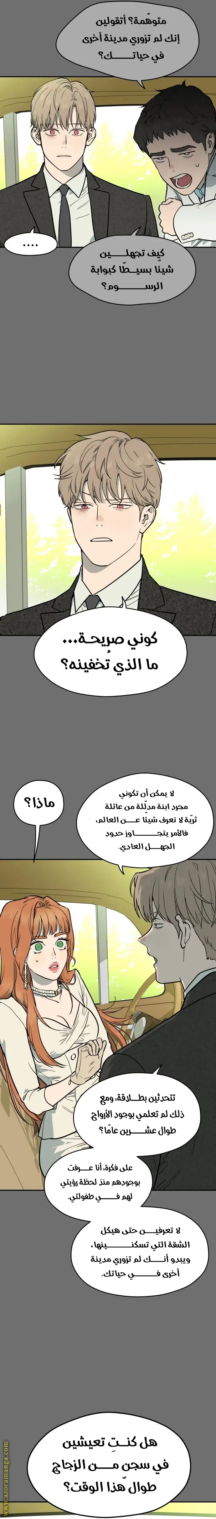 الصفحة 13