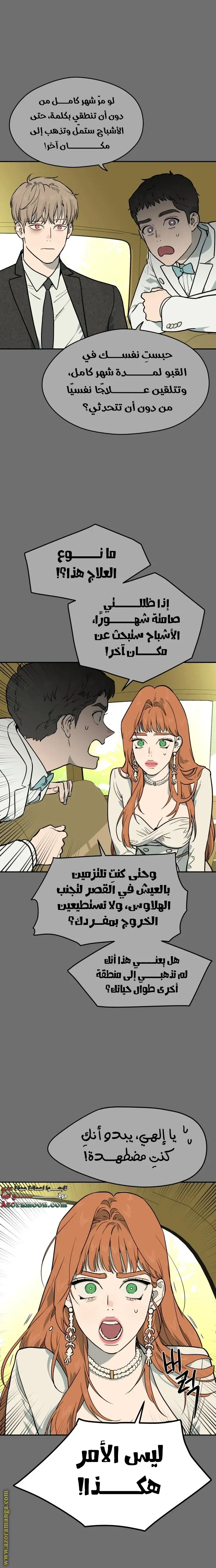 الصفحة 17