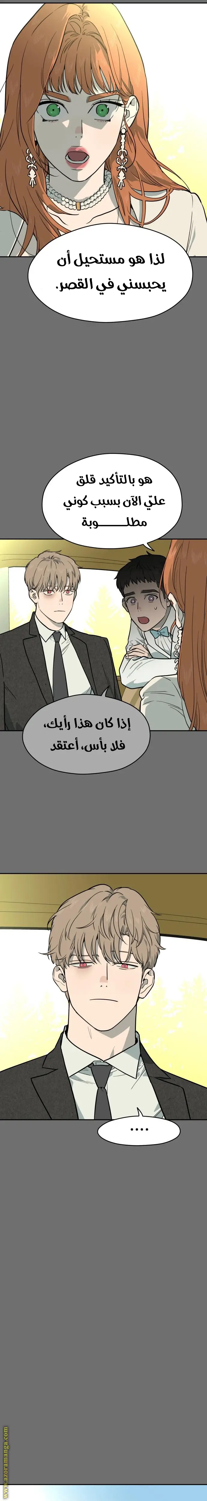 الصفحة 21