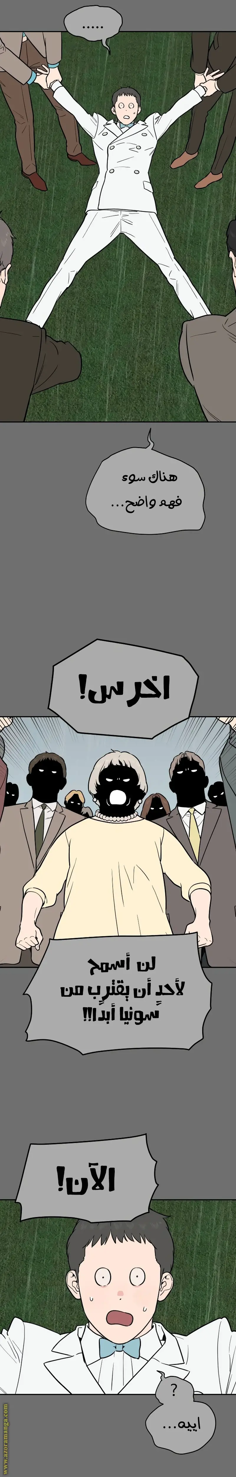 الصفحة 17