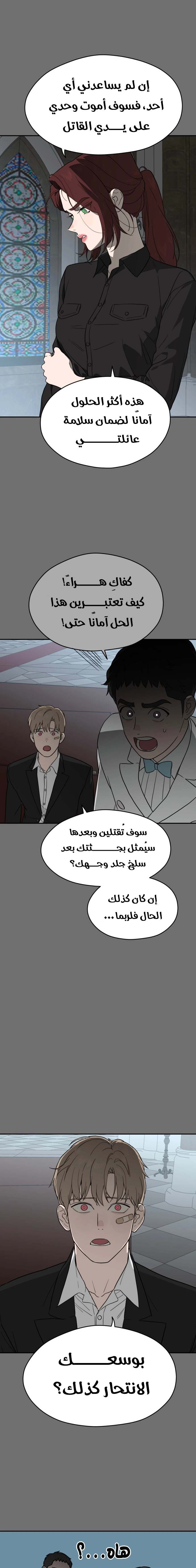 الصفحة 17
