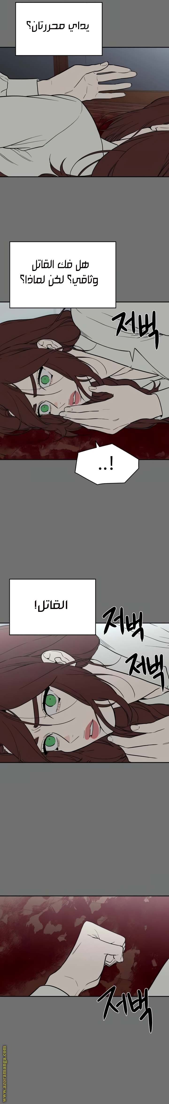 الصفحة 11